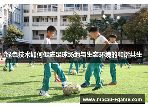 绿色技术如何促进足球场地与生态环境的和谐共生